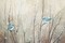 Pretty Birds Neutral Poster Print by Julia Purinton - Item # VARPDX35717